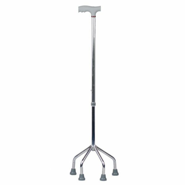 Walking Stick - Quadripod